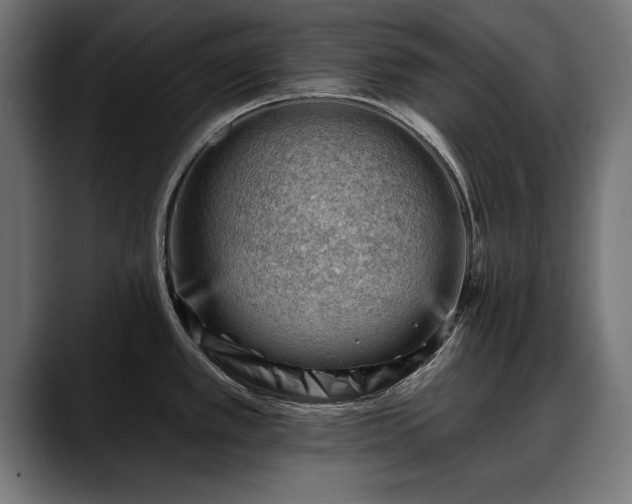 X0000088451389200705291505