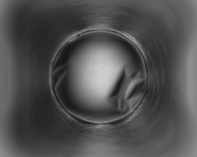 X0000088451390200705291505