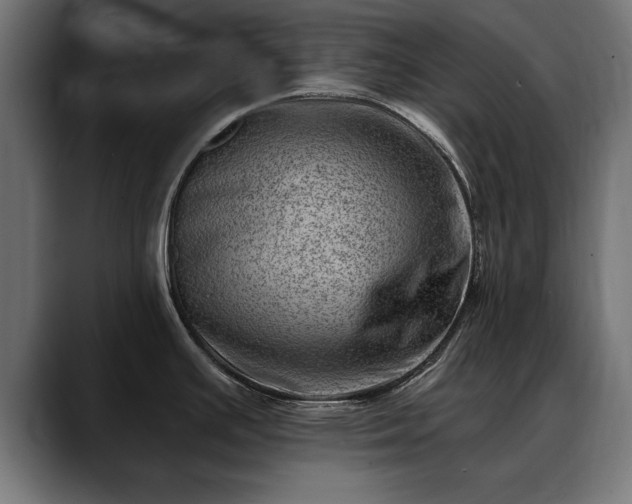 X0000088451391200705291505