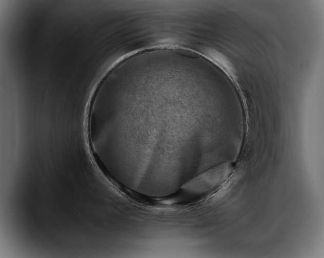 X0000088451392200705291505