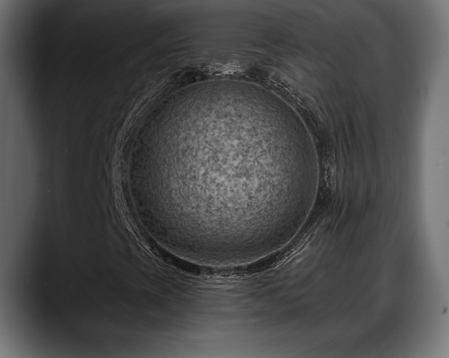 X0000088451393200705291504