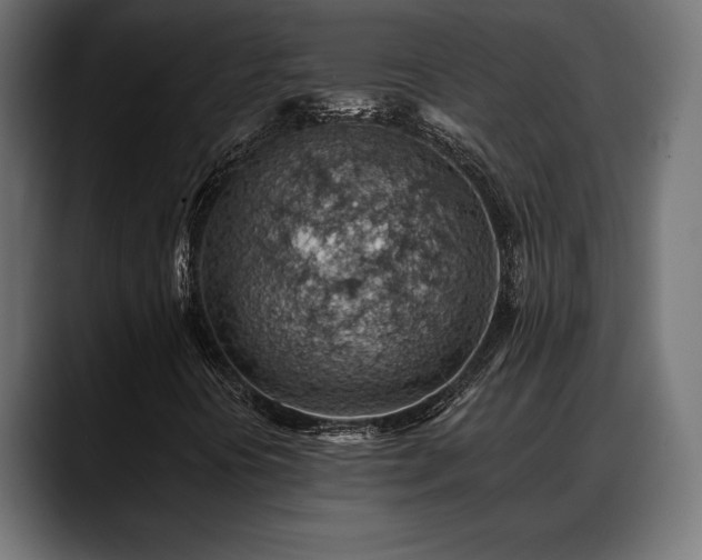 X0000088451394200705291504