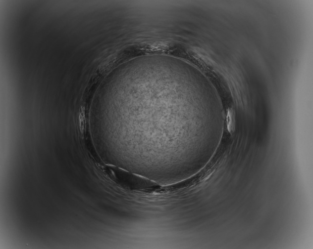 X0000088451395200705291504