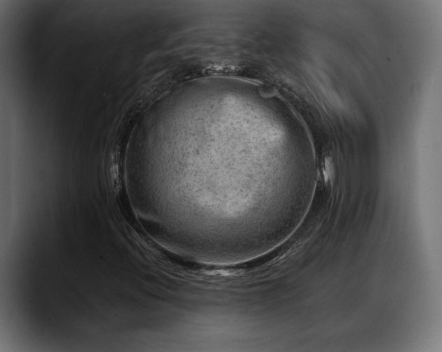 X0000088451396200705291504