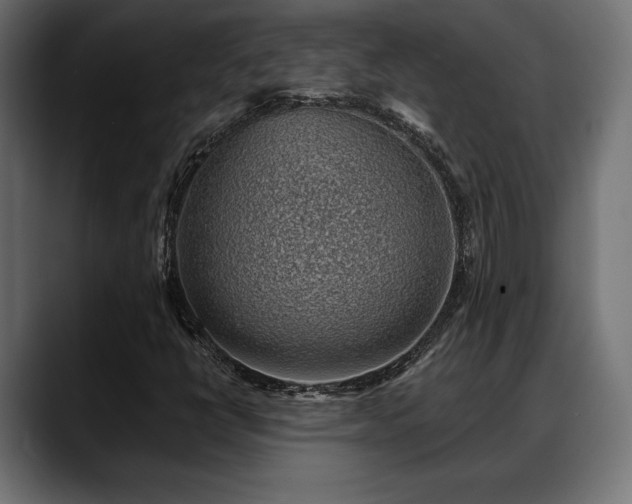 X0000088451398200705291504