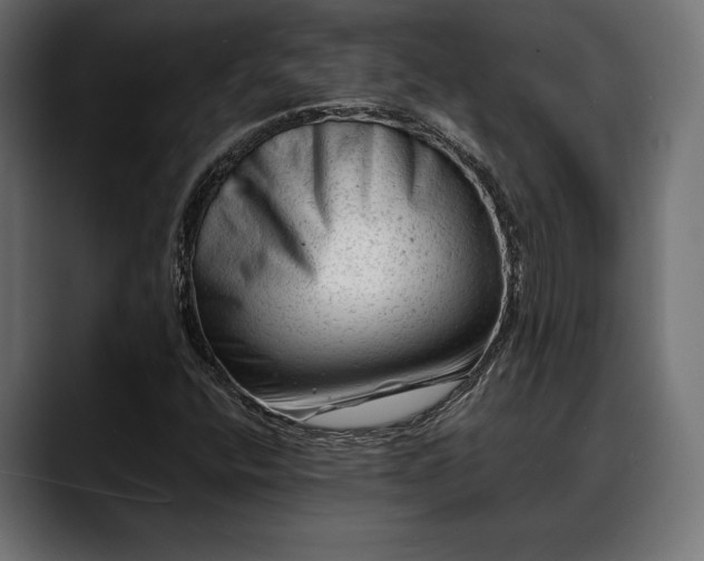 X0000088451400200705291504