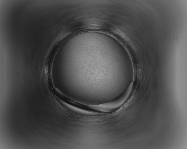 X0000088451402200705291504