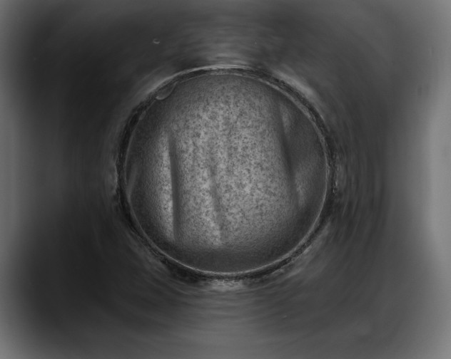 X0000088451407200705291504