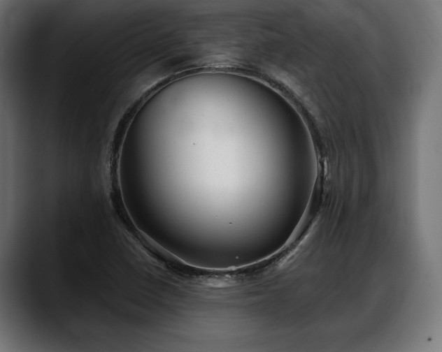 X0000088451410200705291504