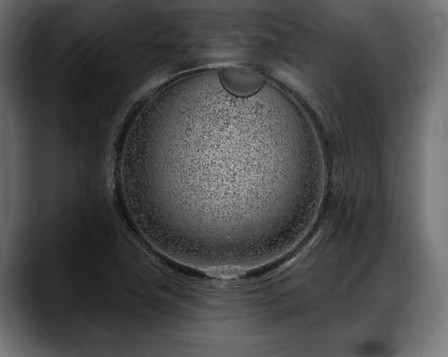 X0000088451411200705291504