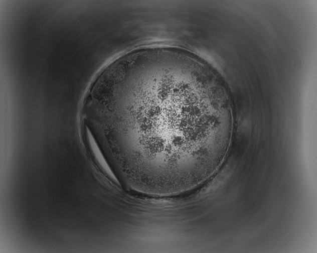 X0000088451413200705291504