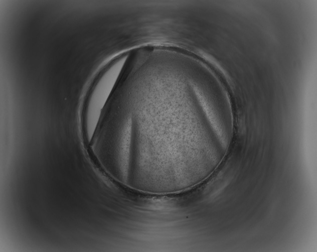 X0000088451416200705291504