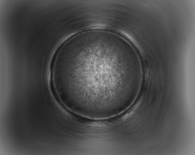 X0000088451418200705291504