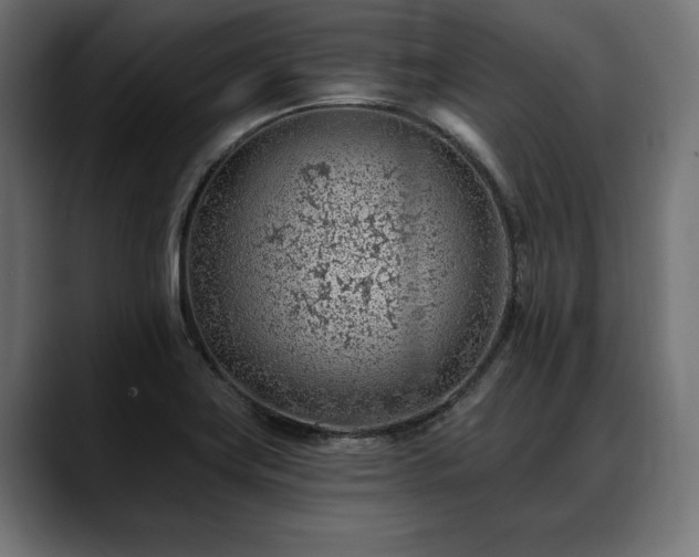 X0000088451419200705291504