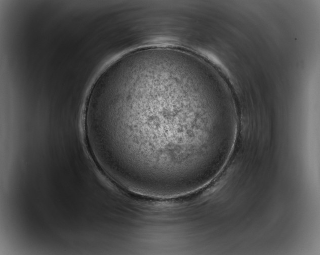 X0000088451421200705291504