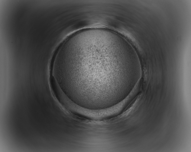 X0000088451422200705291504