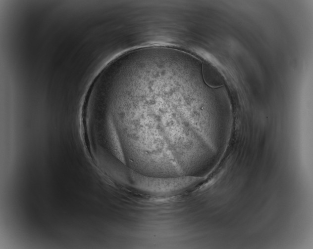 X0000088451423200705291504