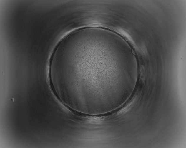 X0000088451424200705291504