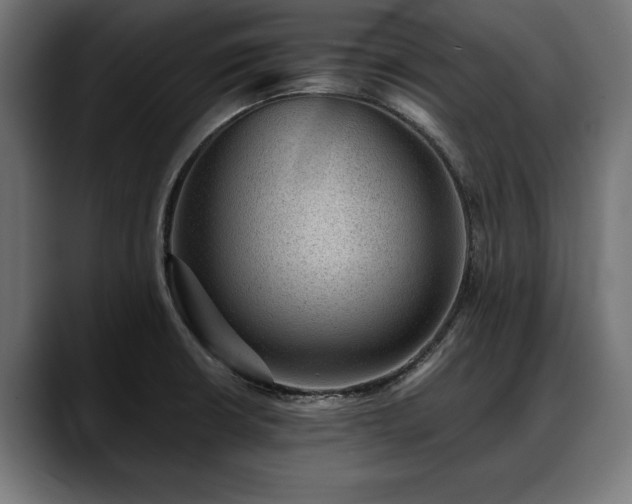 X0000088451426200705291504