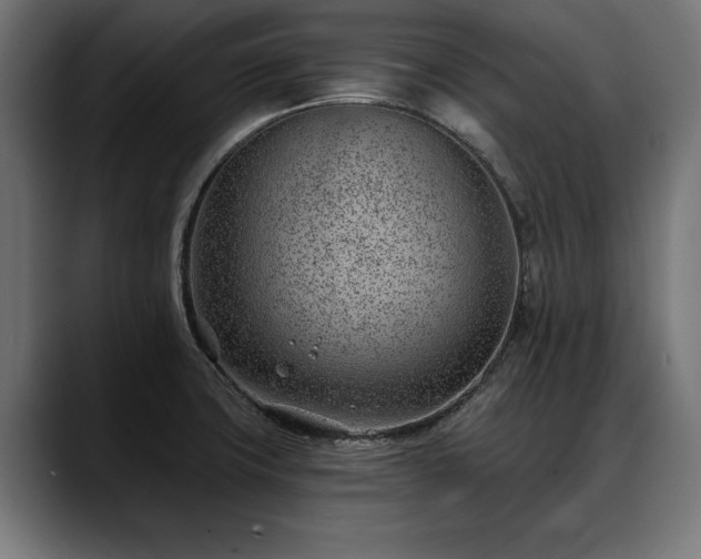 X0000088451427200705291504