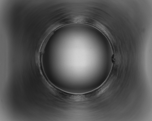 X0000088451434200705291504