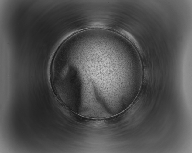 X0000088451435200705291504