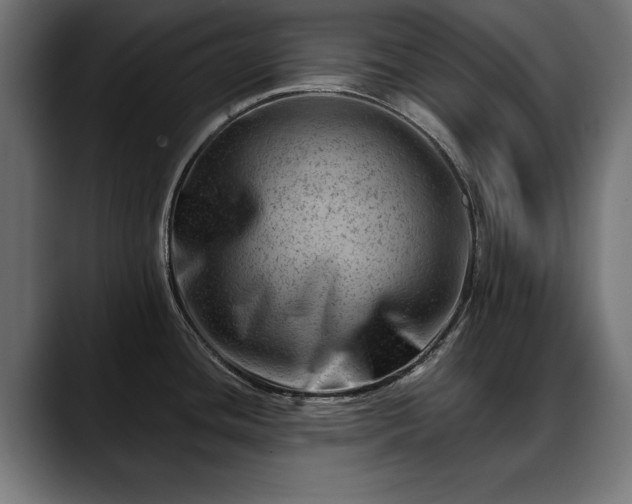 X0000088451436200705291504