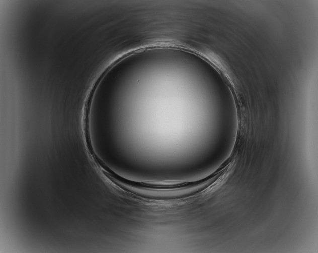 X0000088451438200705291505