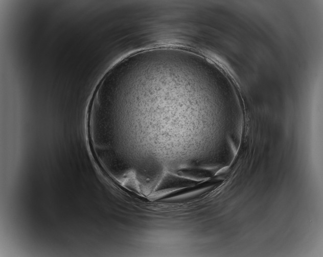 X0000088451439200705291505