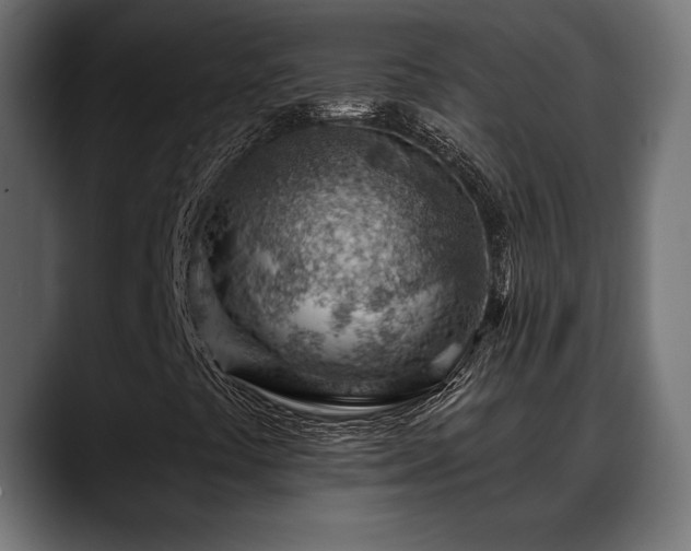X0000088451441200705291504