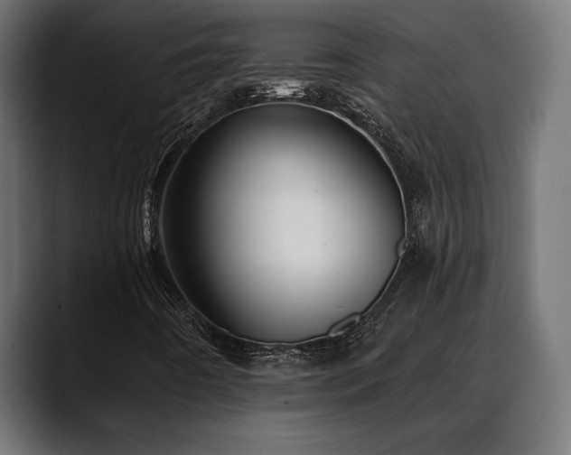 X0000088451442200705291504