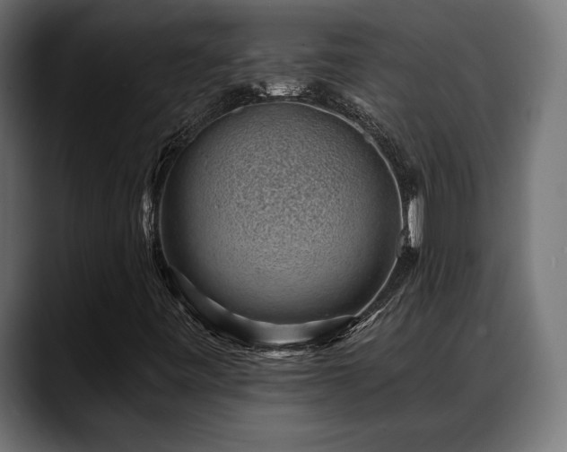 X0000088451443200705291504