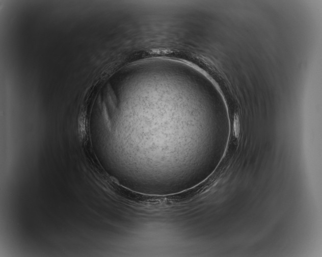 X0000088451444200705291504