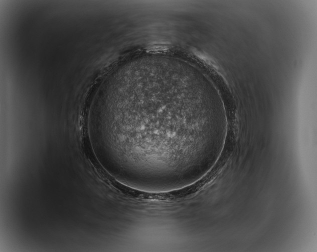 X0000088451445200705291504