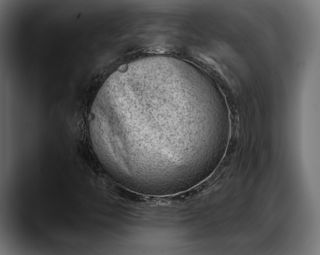 X0000088451446200705291504