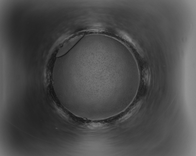 X0000088451448200705291504