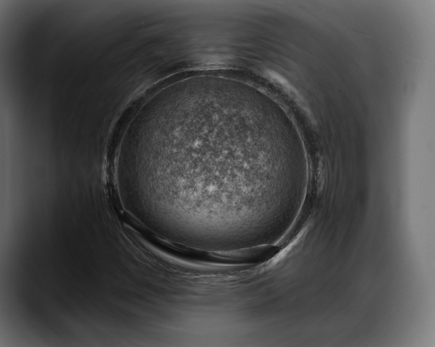 X0000088451449200705291504
