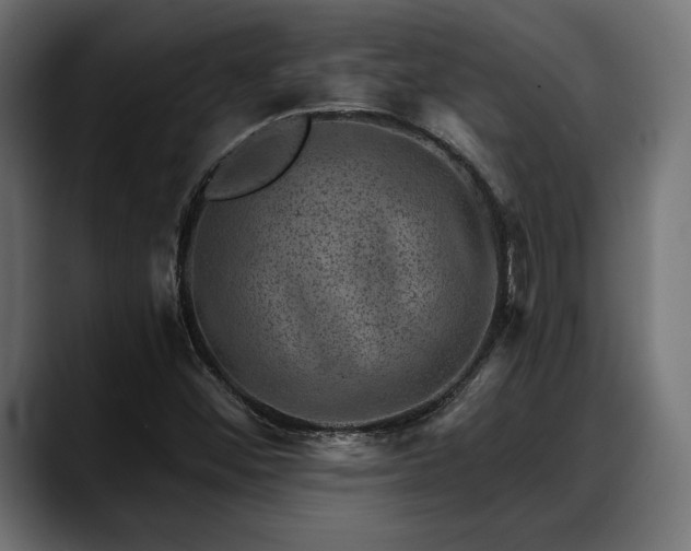 X0000088451452200705291504