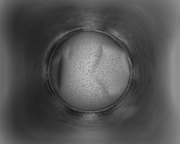 X0000088451454200705291504