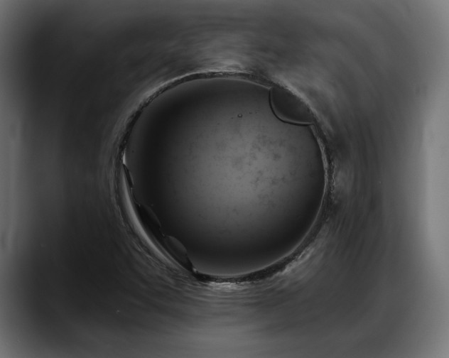 X0000088451455200705291504
