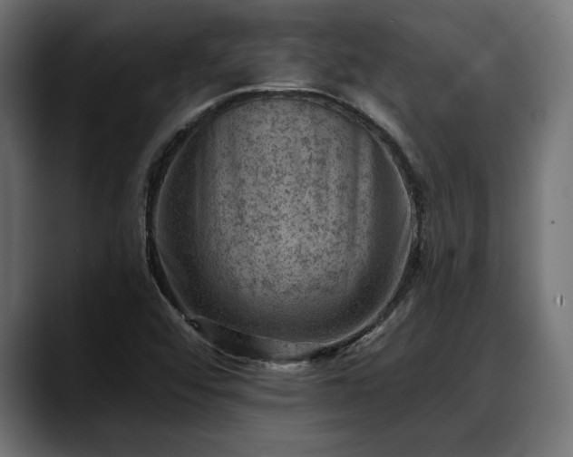 X0000088451456200705291504