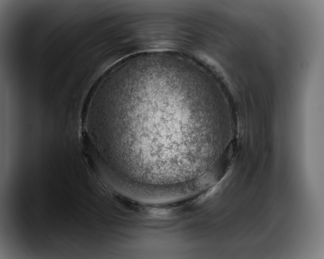 X0000088451457200705291504