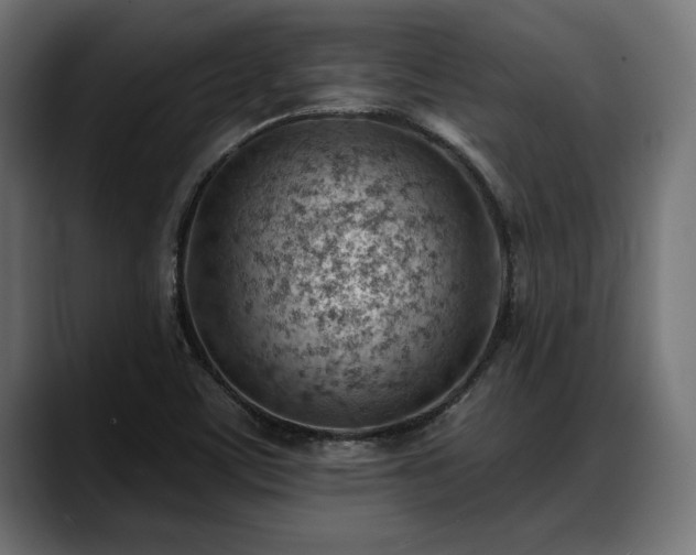 X0000088451459200705291504