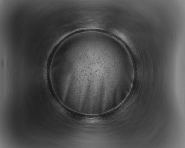 X0000088451460200705291504