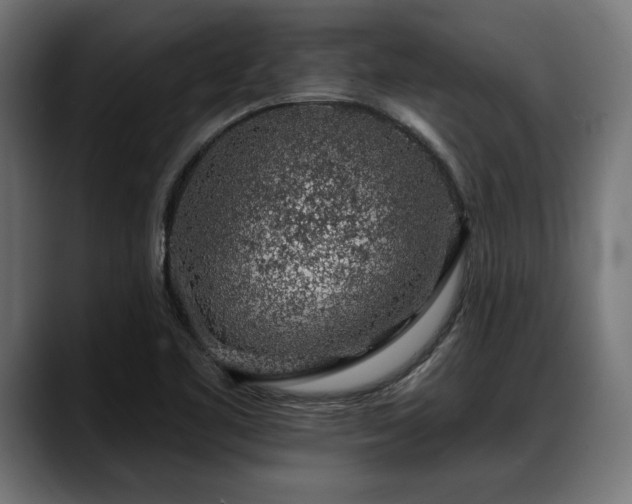 X0000088451461200705291504