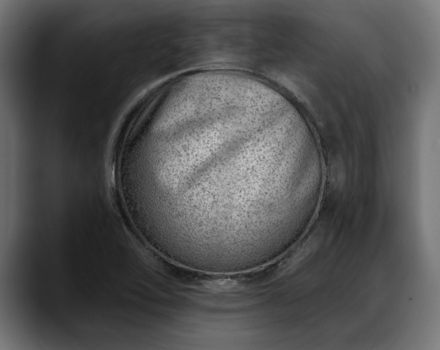 X0000088451462200705291504