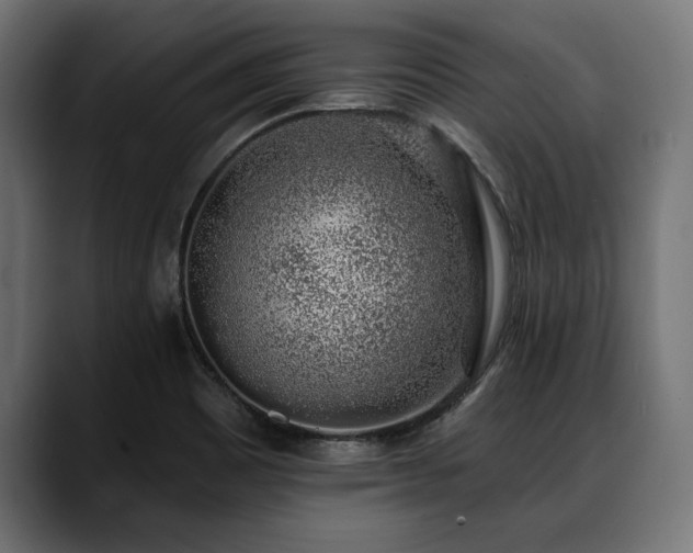 X0000088451465200705291504