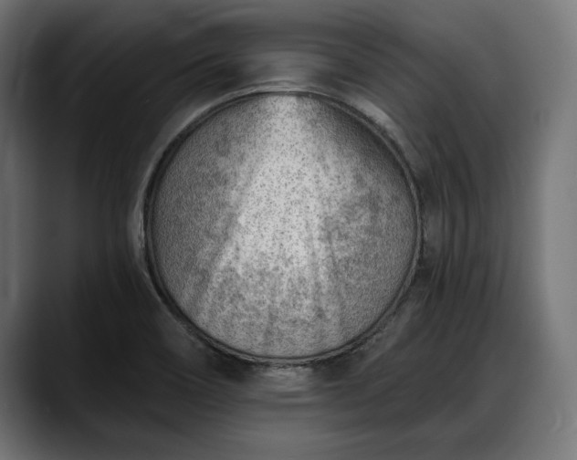 X0000088451466200705291504