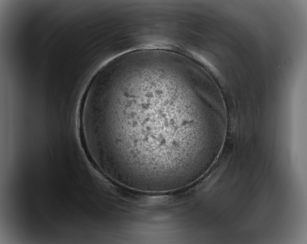 X0000088451471200705291504