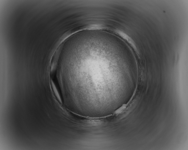 X0000088451473200705291504